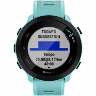 Беговые часы Garmin ForeRunner 55 Aqua