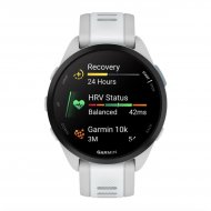 Беговые часы Garmin ForeRunner 165 Mist