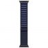 Смарт-часы Apple Watch Ultra 2 49mm, черный титан, ремешок Alpine Navy