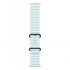 Смарт-часы Apple Watch Ultra 2 49mm, черный титан, ремешок Ocean Ice Blue